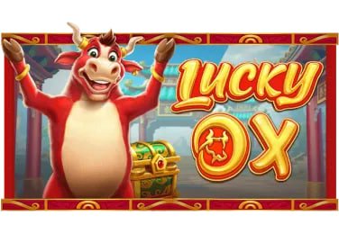 Khuyến mãi Tết đặc biệt từ 79kim